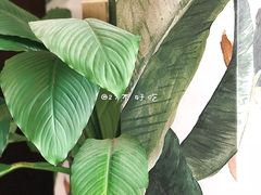 景观位-So Acai(天河店)