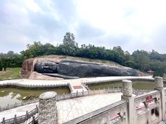-三水森林公园