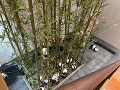 -汤森悠生活文化汤(江宁万达店)