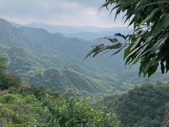 -大岭沟猕猴桃谷风景区