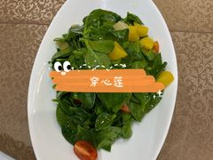 -红高粱大酒店(宁山东路店)