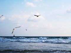 -海云台海滩
