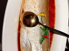 -醉庐·新上海菜(南京西路店)