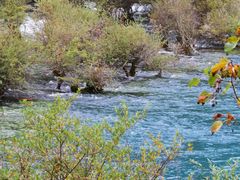 -九寨沟-树正沟