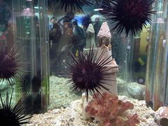 -太平洋海底世界