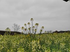 -中国天府农业博览园