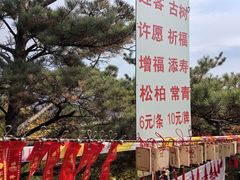-吉林拉法山