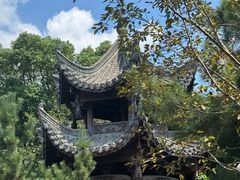 -八大山人梅湖景区