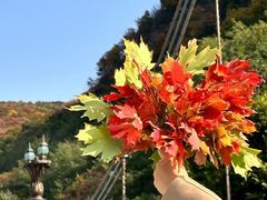 -崂山巨峰游览区