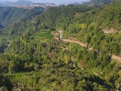 -磐安舞龙峡景区