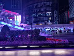 -华强电子世界(深圳二店)