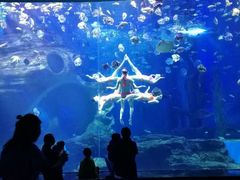 -多彩贵州城极地海洋世界