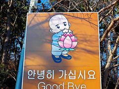 -海东龙宫寺