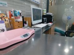 -瑞派名望志远动物医院·猫科·內科·异宠专科(直港大道店)