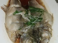 抱腌海鲈鱼-满江红大酒店(城站店)