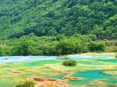 -黄龙山原始森林景区