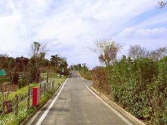 -武汉紫薇都市田园