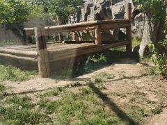 -石家庄市动物园