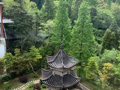 -大围山国家森林公园