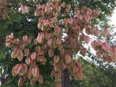 -河南财经政法大学(郑东校区)