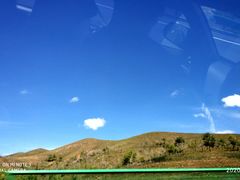 -张金涛熏鸡(人民南路店)