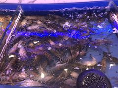 -澜悦港海鲜体验主题餐厅