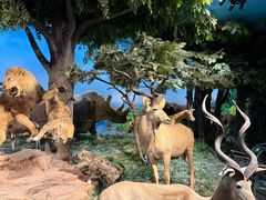 -国家自然博物馆