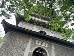 -南京老山国家森林公园