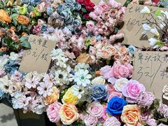 -三圣花乡旅游区