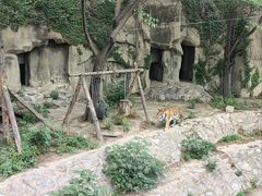 -北京动物园