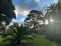 -墨尔本皇家植物园