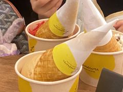 -LUNEURS月乐诗 La Glace(环贸店)