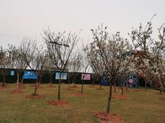 -观澜湖生态运动公社