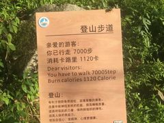 景点-萍乡武功山风景名胜区