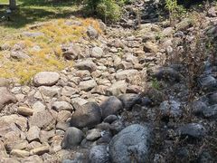 -白塘生态植物园