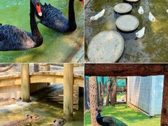 -南戴河国际娱乐中心