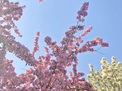 -永定河休闲森林公园