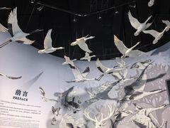 -中国湿地博物馆