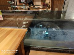 -割烹旭日本料理(龙湖狮山天街店)