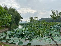 -月湖风景区