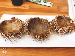 -海胆小馆(东北水饺·春柳店)