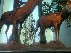 -扬州科技馆