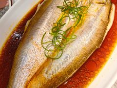 鲜椒豉油蒸白鱼-锦府园·杭州小馆·创意杭帮菜(湖滨银泰in77店)