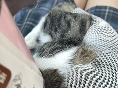 -联合动物医院(光谷诊疗中心)
