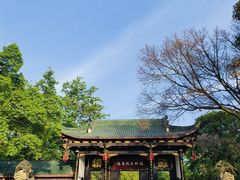 -桂湖森林公园