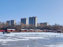 -大兴滨河森林公园