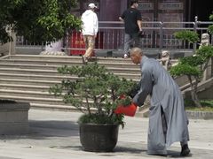 -高旻寺