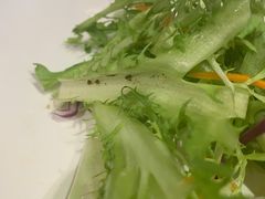 -圣琼美食百汇自助餐(白云万达店)