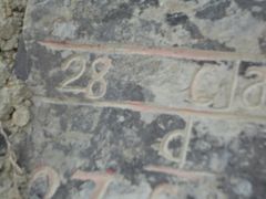 -金钉子远古世界景区