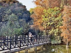-海珠湖公园
